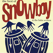 Wild Spirit by Snowboy & The Latin Section