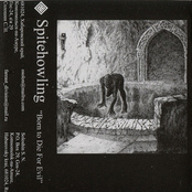 Born To Die For Evil