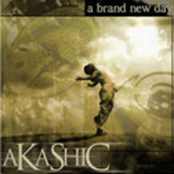 Count Me Out by Akashic
