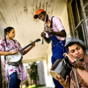 carolina chocolate drops