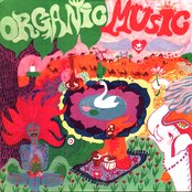 Organic Music Society