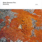 Golden Rain by Bobo Stenson Trio