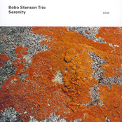 Serenity by Bobo Stenson Trio