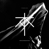 Sins & Sensibilities