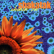 Chase The Sun by Shakatak