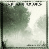 Calea a tot ce e uitat