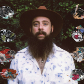 Tall Tall Trees: The Seasonal