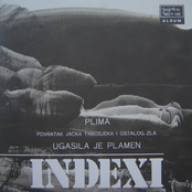 Plima