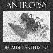 Because Earth Is Not