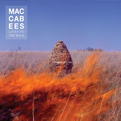 Maccabees: Given To The Wild