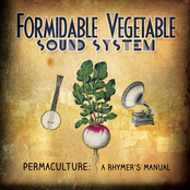 Look Around by Formidable Vegetable Sound System