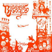 Bosporus Bridges - A Wide Selection Of Turkish Jazz And Funk 1969-1978