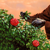 [distro] Spring Rain