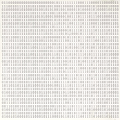 invalidObject Series (while)