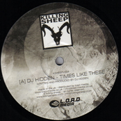 Times Like These / Organic Dub