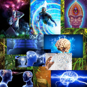 Growth Is Not Linear