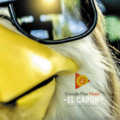 Shut up Chicken (Radio Edit) [Explicit]