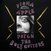 Fiona Apple - Drumset