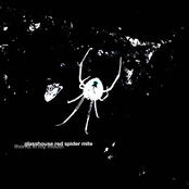 Thorns In My Mouth - Single