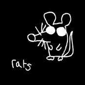 Rats