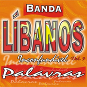 PALAVRAS