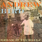 Behind The Barn by Andrew Bird