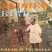 Lusitania by Andrew Bird