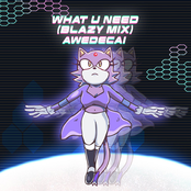 What U Need (Blazy Mix) (From "Sonic Rush")
