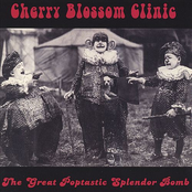 The Great Poptastic Splendor Bomb