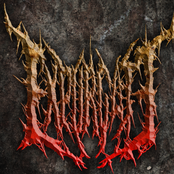 Viscera Insufflation (Demo)