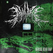 Peacemaker FL - Reverse Bear Trap