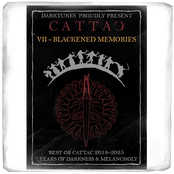 VII - Blackened Memories