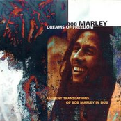 Bob Marley Remixed By Bill Laswell