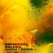 Universal Valabil