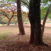 I Don't Expect You to Forgive Me but I Would Be Really Happy If You Do