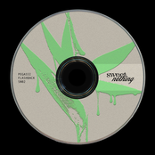 Pegassi: Flashback (Radio Edit)