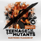 Teenage Mutants: Electronic Pleasure