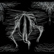 Shining Nagas Territory