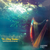 The Lilting Banshee: Traditional Airs & Dances for Celtic Harp