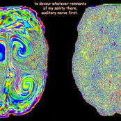 Dissolving Boundaries