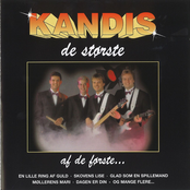 kandis 2