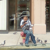 Mastered Bird Army