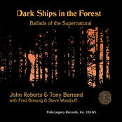 Dark Ships in the Forest