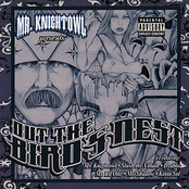 Mr. Knightowl Presents: Out the Bird's Nest