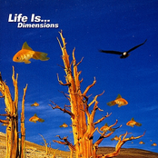 Life Is... Dimensions