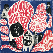 Who Will Buy These Wonderful Evils