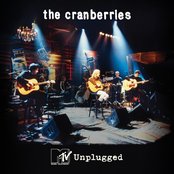 No Need To Argue - Live MTV Unplugged