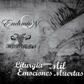 Liturgia para mil emociones muertas