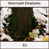Naturmacht Compilation VI