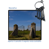 Ho da dire delle cose